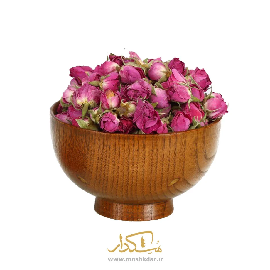 غنچه-گل-محمدی غنچه گل محمدی