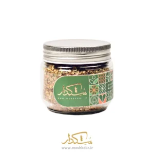 ادویه استیک شیشه کوچک 70 گرمی